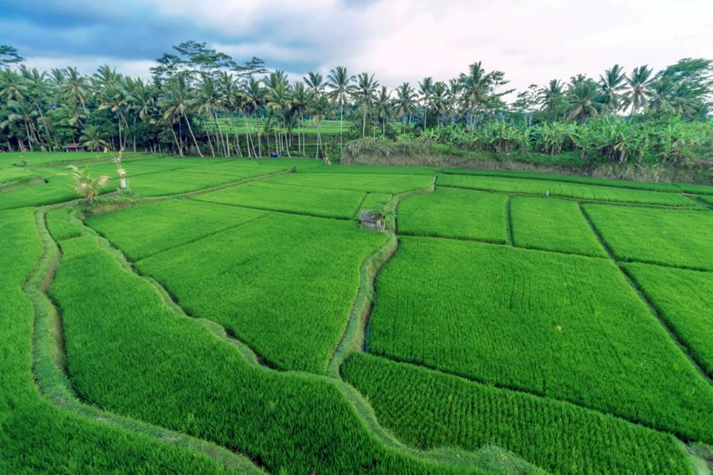 Om Ham Retreat&resort